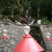 costa rica135