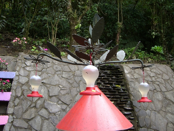 costa rica135