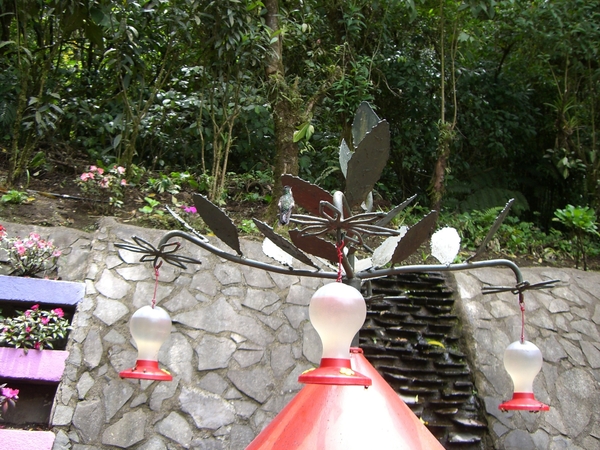 costa rica137