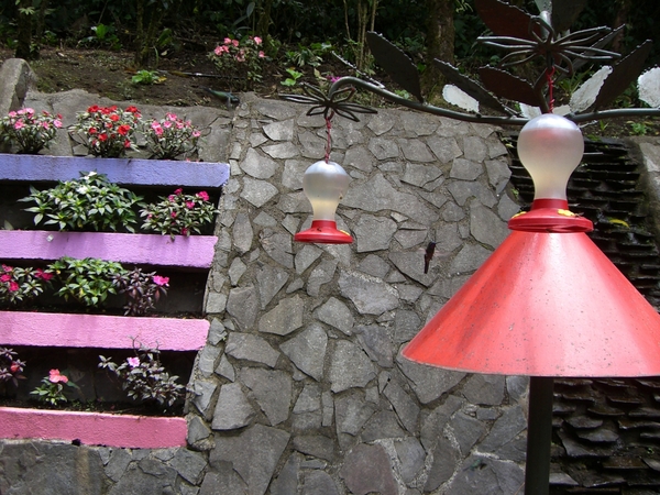costa rica139