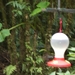 costa rica144