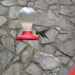 costa rica148
