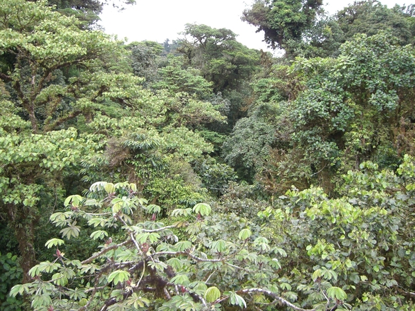 costa rica150