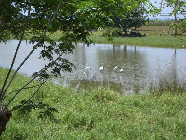 costa rica166