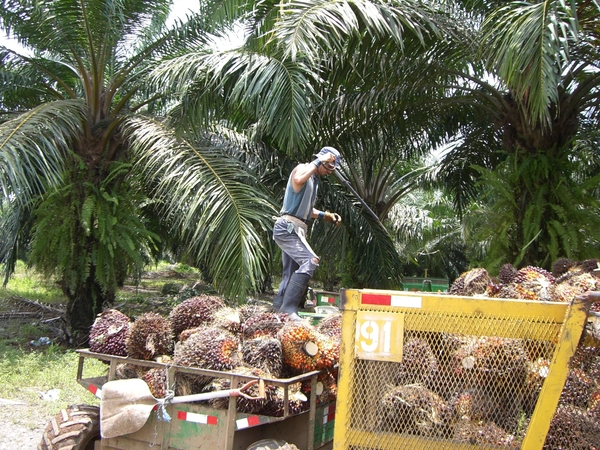 costa rica170
