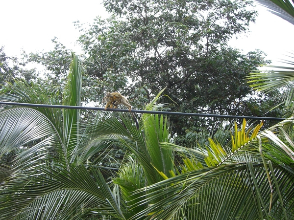 costa rica173