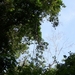 costa rica179