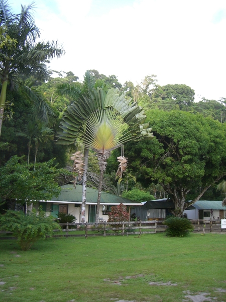 costa rica231