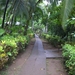 costa rica235