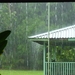 regen jpg