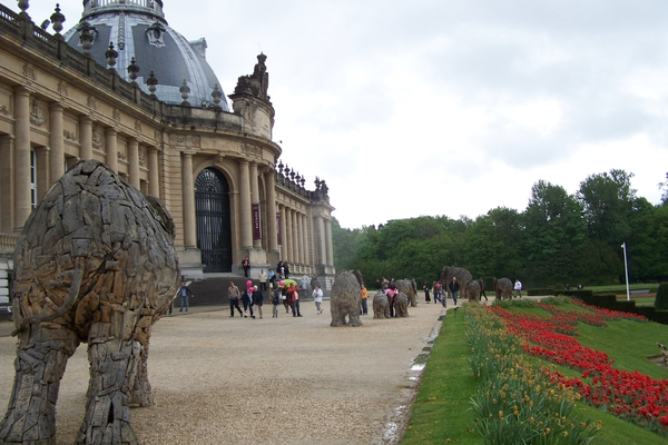 2010 02 05 Tervuren 004