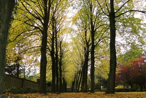 Oude Kerkhof- Roeselare