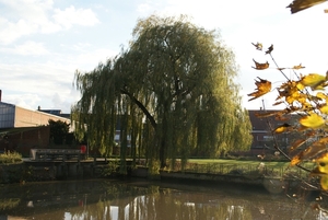 Stadspark-Roeselare