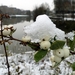 Winterfoto's-Stadspark-Roeselare-november-2010