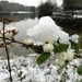 Winterfoto's-Stadspark-Roeselare-november-2010