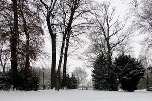 Winter-Stadspark-Roeselare-2Dec-2010