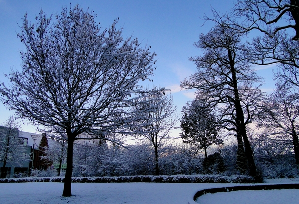 18 December 2010-Winterfoto\'s Stadspark-Roeselare