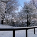 18 December 2010-Winterfoto's Stadspark-Roeselare