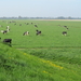 Natuur