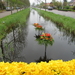 Bloemen