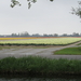 Tulpenveld