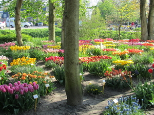 Poldertuin