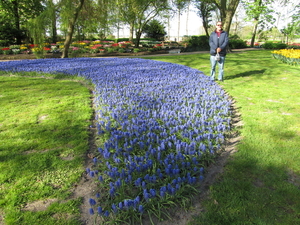 Poldertuin