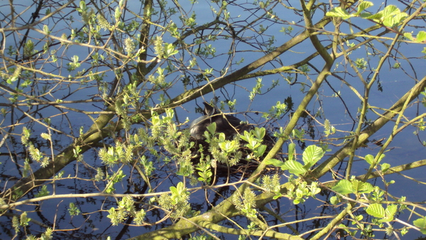 DSC00702