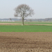 Natuur in Meer