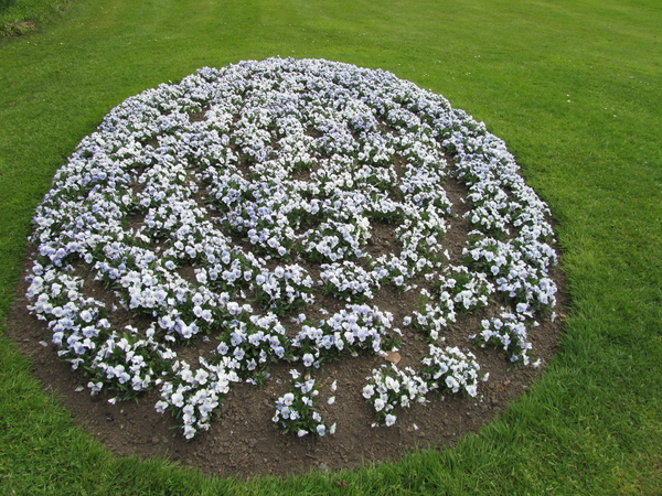 Domein Vrijbroek