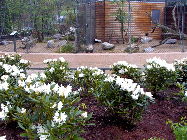 in het Provinciedomein van Huizingen