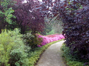 huizingen