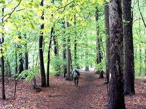 door het natuurgebied van Zevenbronnen