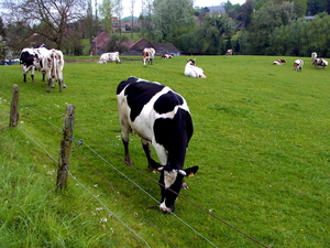 onderweg..