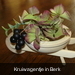 KRUIWAGEN AFGEWERKT 013