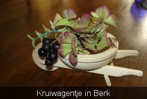 KRUIWAGEN AFGEWERKT 013