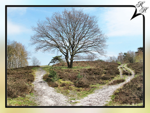 Brunssummerheide