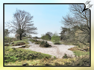 Brunssummerheide