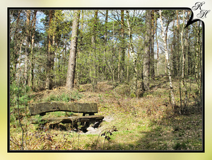 Brunssummerheide