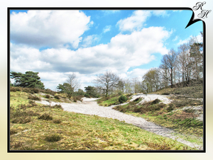 Brunssummerheide