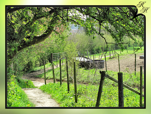 Noorbeek