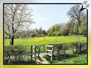 Noorbeek