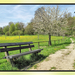 Noorbeek