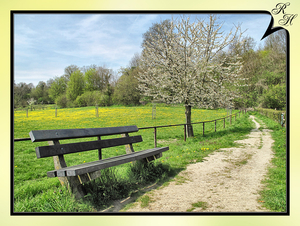 Noorbeek