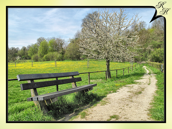 Noorbeek