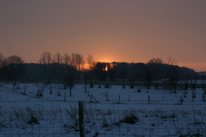 Winterse ochtendzon