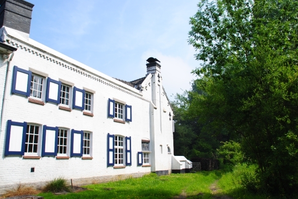 DSC_0001 TUSSEN BOSJES EN GROENE PRACHT !