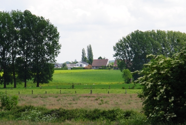 DSC_0057