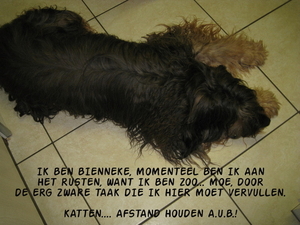 Bienneke