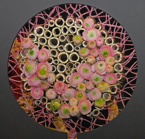 Floralin Gent 2010, Gentse Floralin 2010,200 Floralin, Floralin